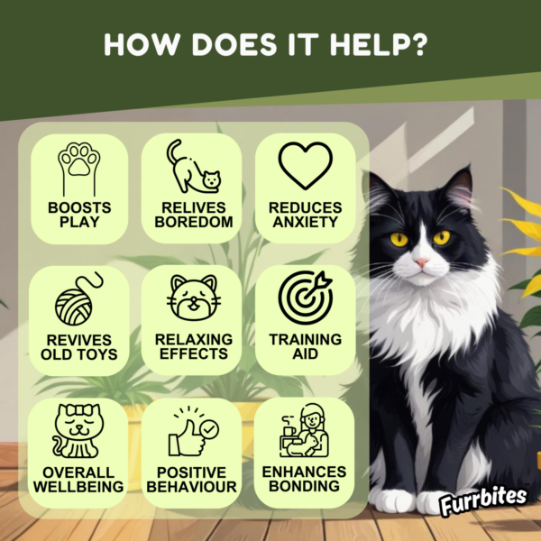 Furrbites™ Natural Catnip Spray – Highly Potent Infographic (4)