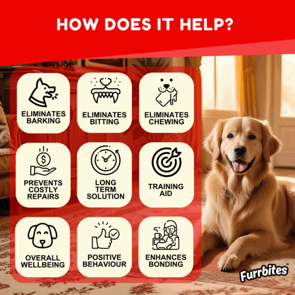 Furrbites™ Advance Formula Dog Training & Anti-Chew-Potty-Bark Spray - Image 5